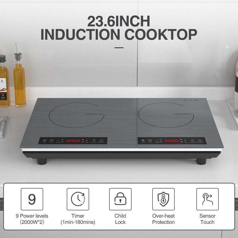 Kompor Induksi Dua Tungku, Pem - Commercial Kitchen Zones ulasan dan harga