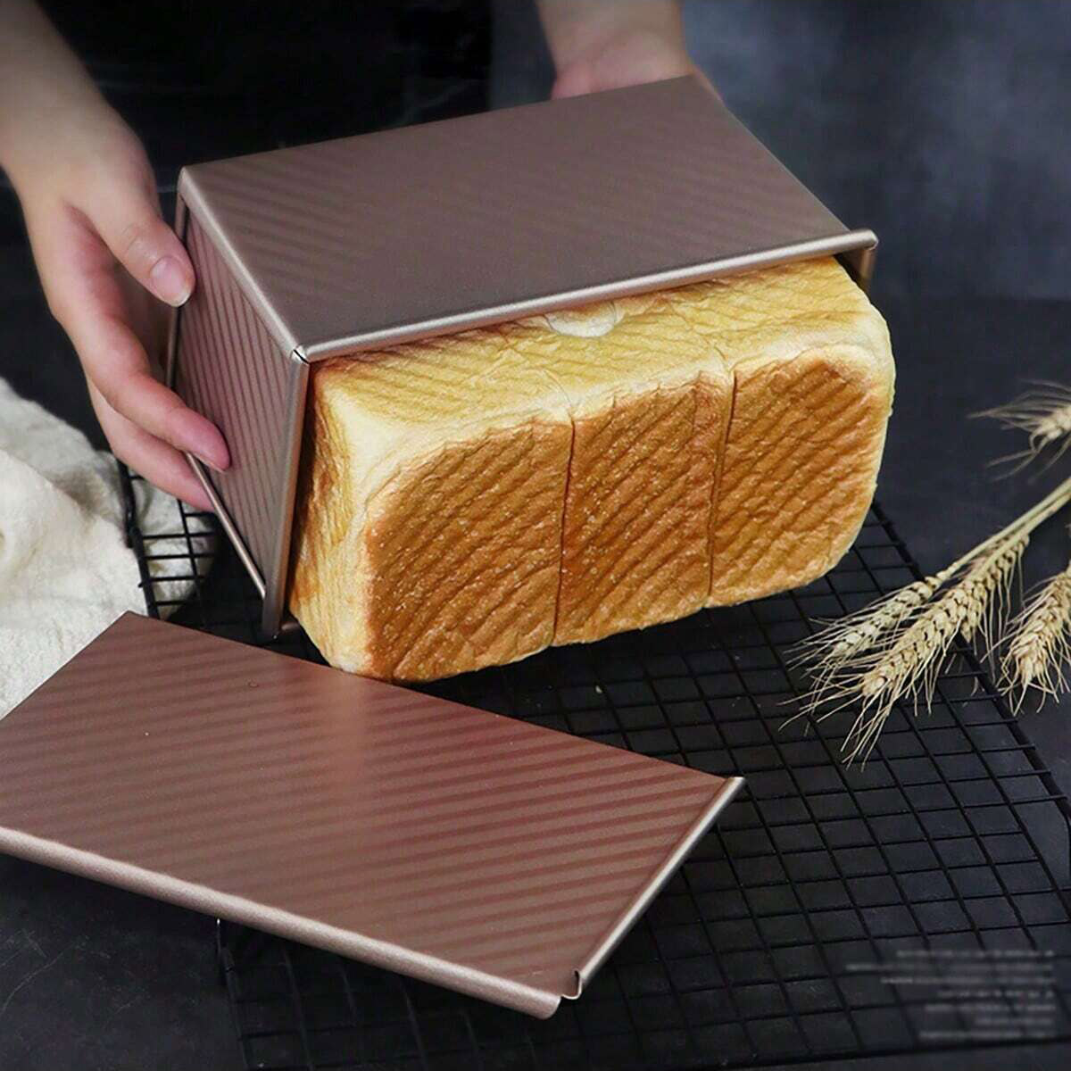 1pc Loyang Roti Emas dengan Tu - Rotary Bakery Oven ulasan dan harga